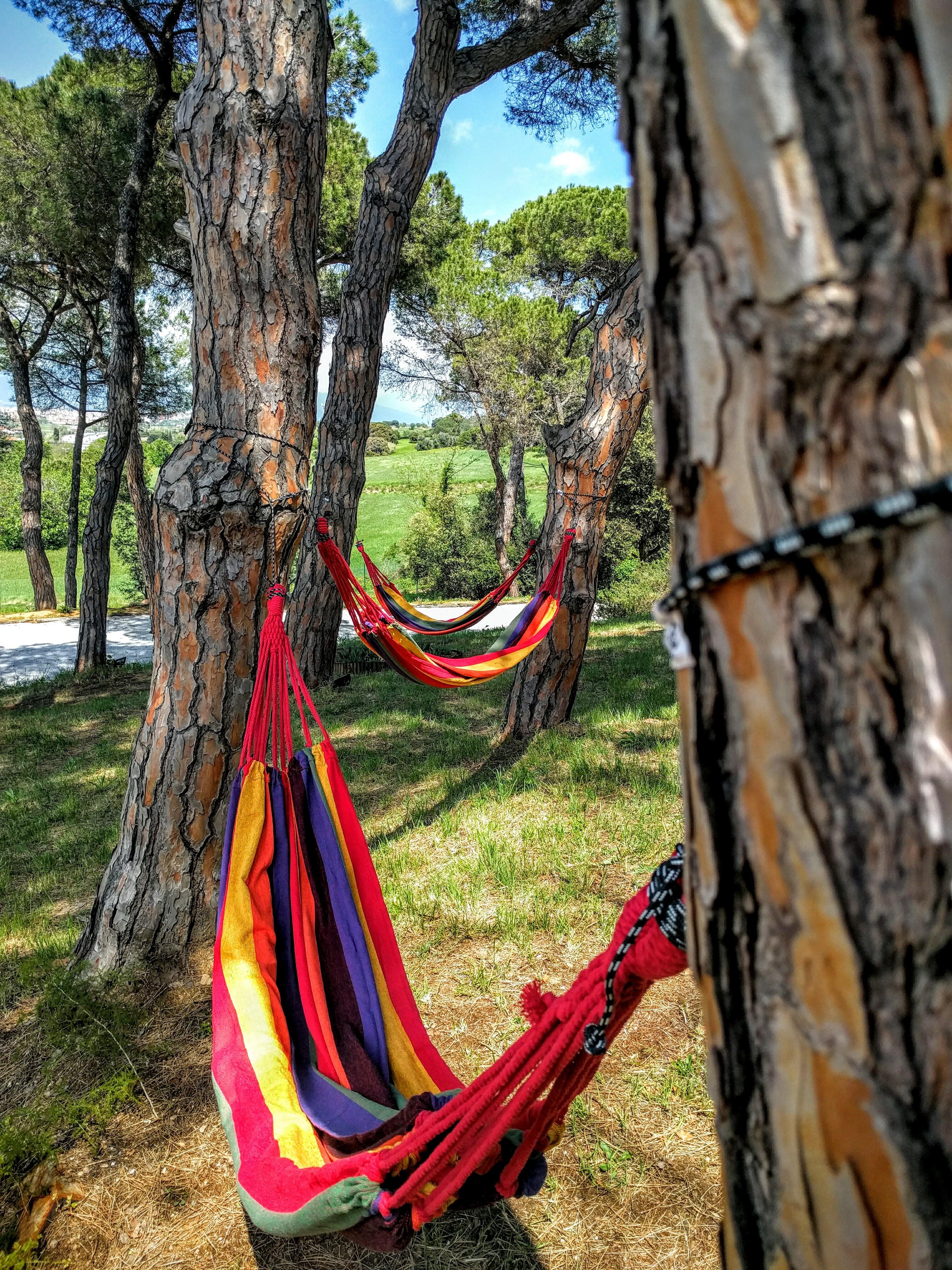 Augusta Barcelona Valles Granollers Kültér fotó