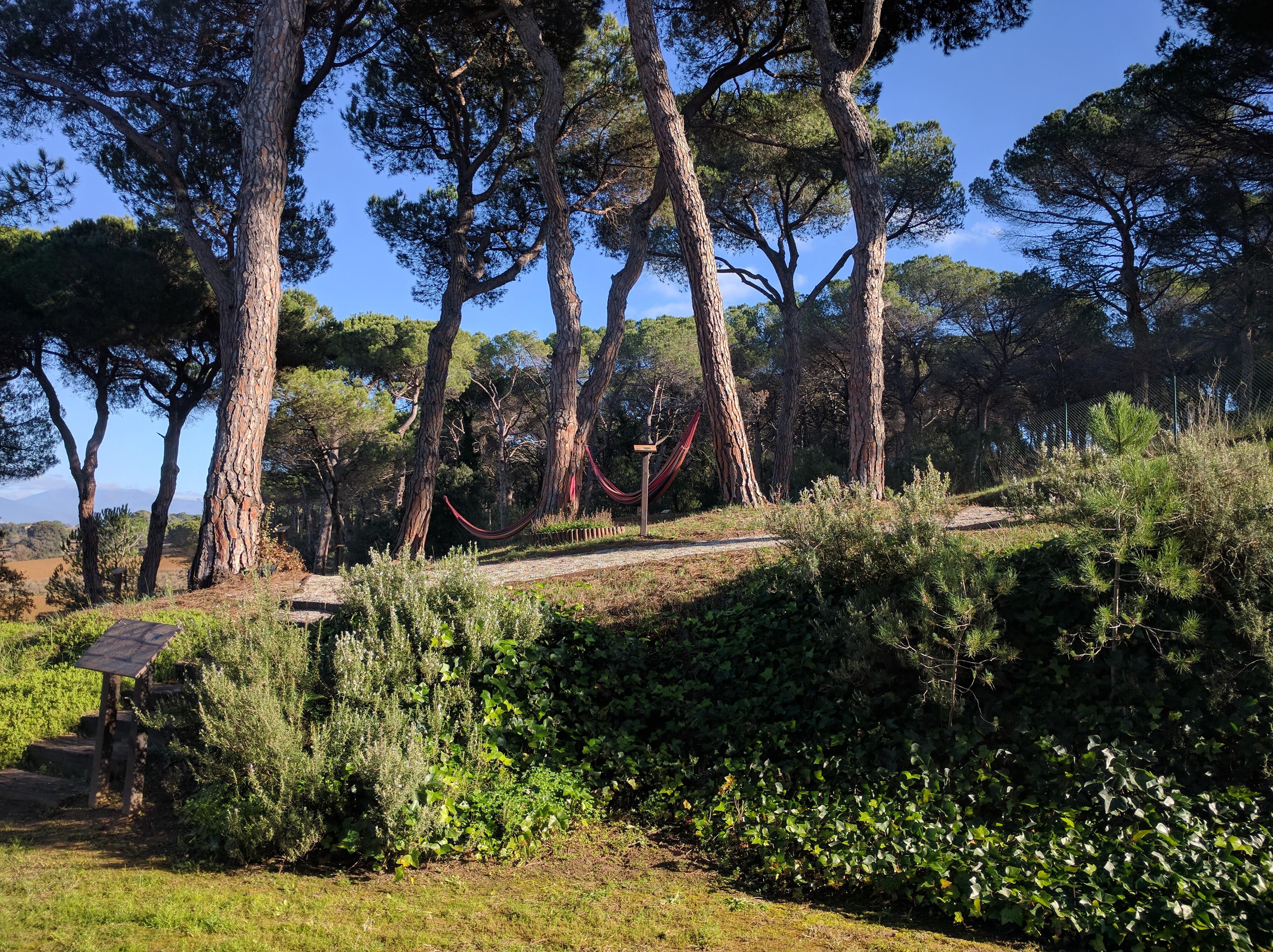 Augusta Barcelona Valles Granollers Kültér fotó